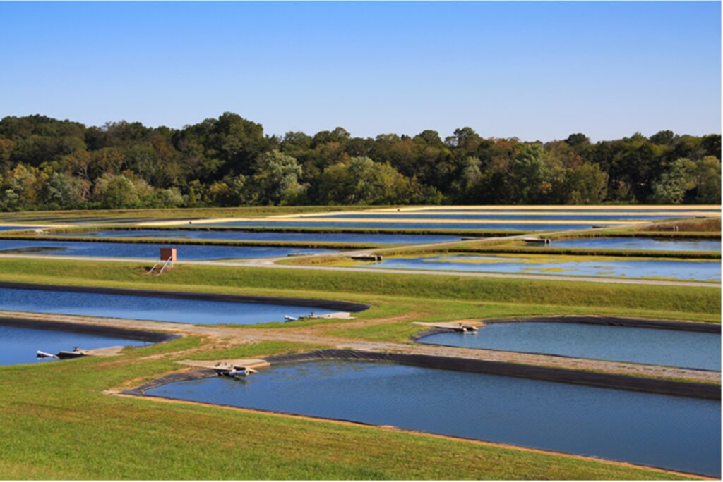 Aquacultural Applications for Geosynthetics